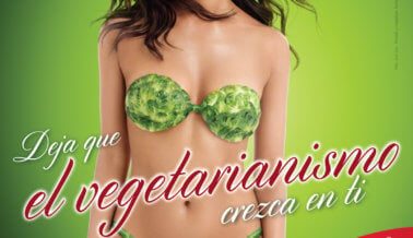 Rocsi Díaz: Deja Que el Vegetarianismo Crezca en ti en Estas Fiestas