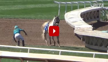 DE ÚLTIMO MOMENTO: Un caballo acaba de morir en el hipódromo de Santa Anita.