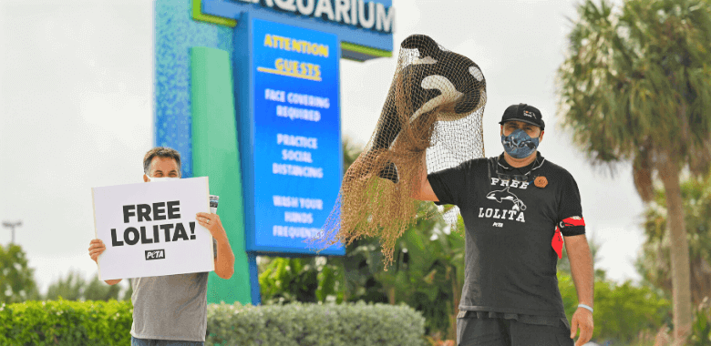 simpatizantes de PETA protestaron por el encierro de Lolita