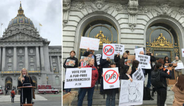 San Francisco podría ser la primera gran ciudad en prohibir las ventas de pelaje