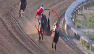 Video: Yegua de Carreras Sufre Lesión Catastrófica Tras Caer de Cabeza y Dar una Vuelta en el Aire