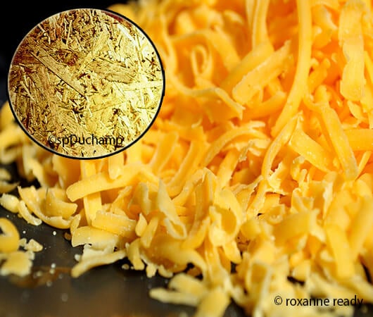shredded-cheese2