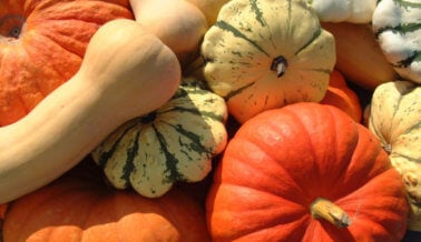 Calabaza con maíz molido, maíz y pimentones