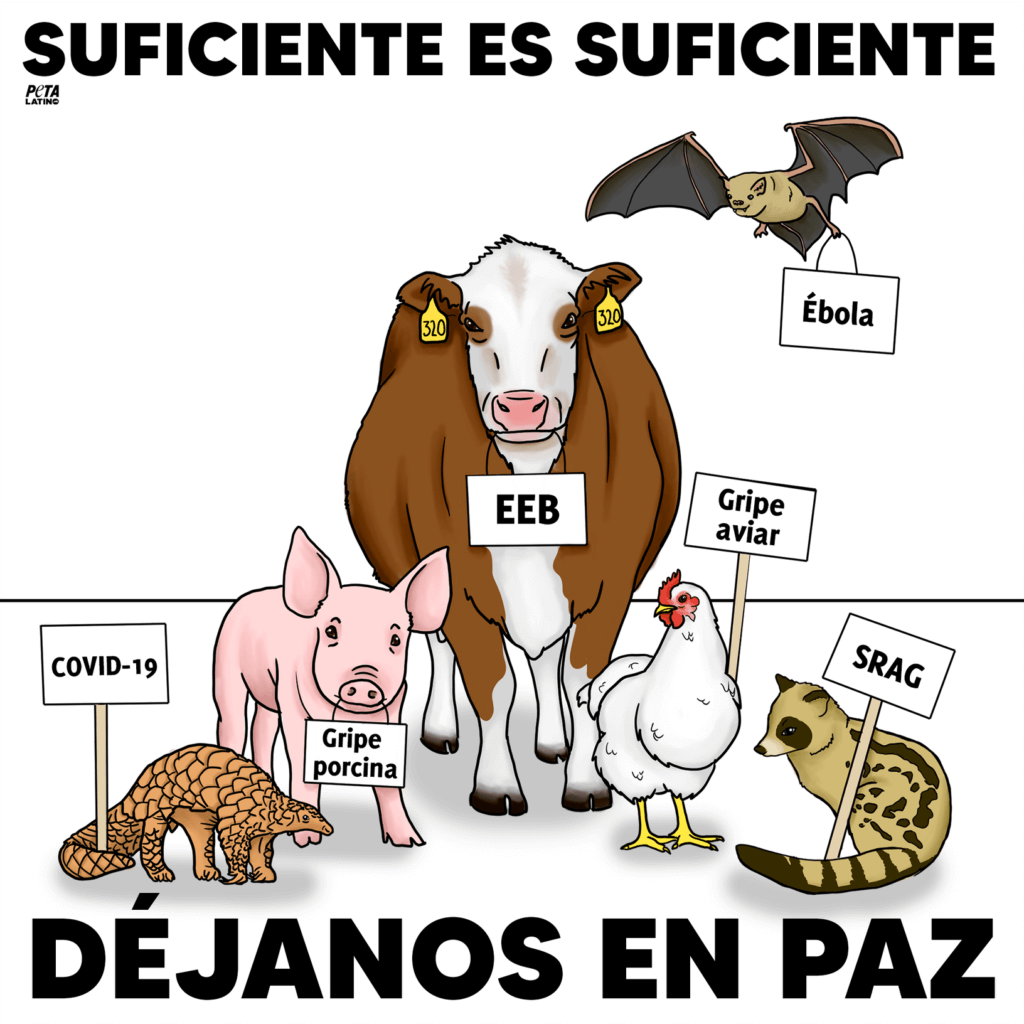 Suficiente déjanos en paz 