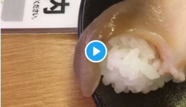 Horrible video muestra sushi moviéndose aún después de ser servido