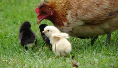 ¡11 fotos adorables de bebés con sus mamás!