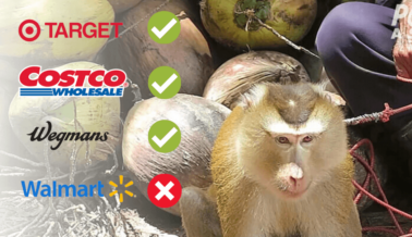 Marcas Que No Usan Cocos Recolectados por Monos