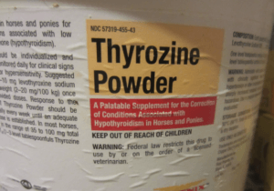 thyrozine-powder