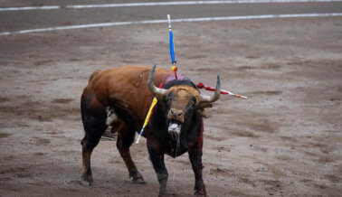 San Fermín No Merece Mentes Sádicas Sedientas de Sangre