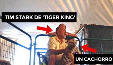 PETA Demandó con Éxito a Tim Stark, y Ahora Nos Debe Más de $733.997,70