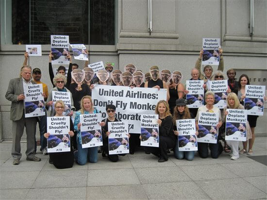 united-airlines-peta-demo