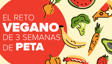 ¿Haciendo Cambios? Prueba Algo Nuevo con el Reto Vegano de 3 Semanas de PETA