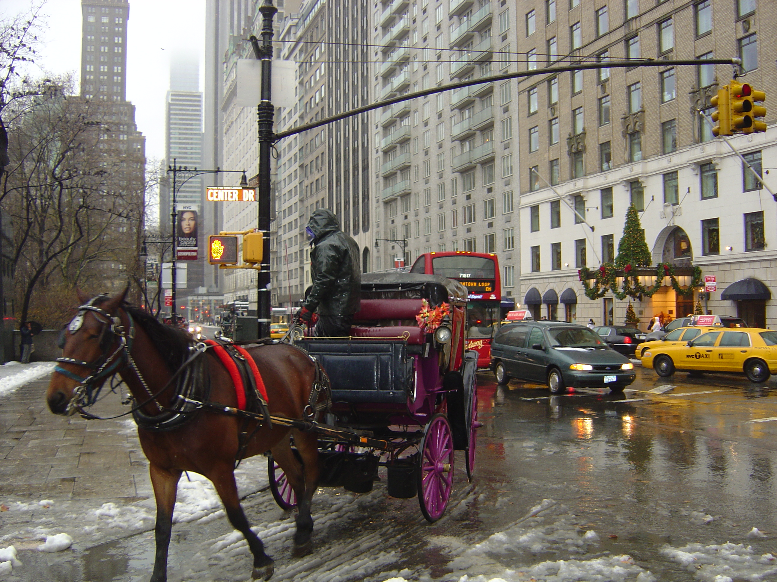 Horse drawn carriage on wet streets