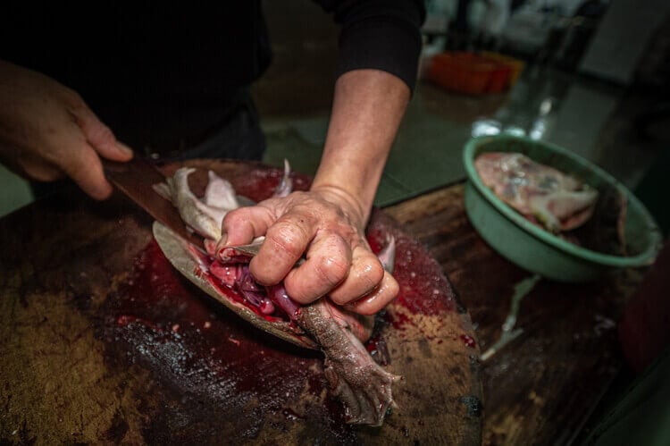 Worker Cuts off Shell of Turtle in Wet Market